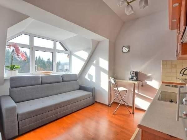 A504 Apartment Криница-Здруй Екстериор снимка